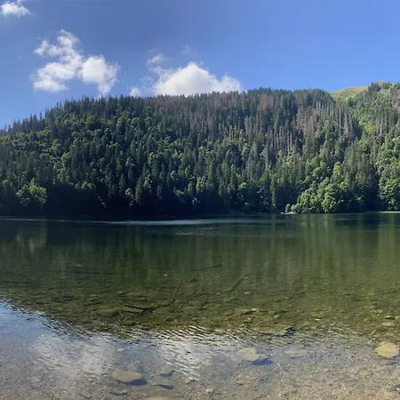 Hébergement de vacances Black Forest Hideaway By Interhome