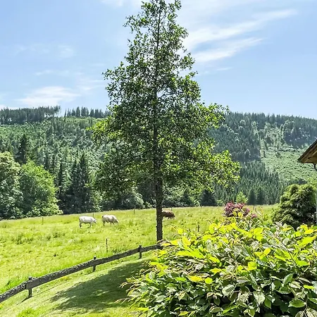 Black Forest Hideaway By Interhome Hébergement de vacances