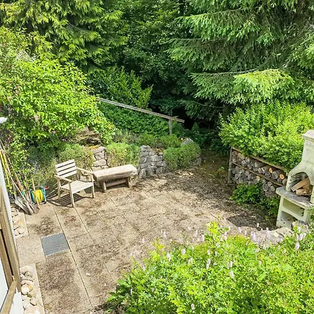 Black Forest Hideaway By Interhome Hébergement de vacances Falkau